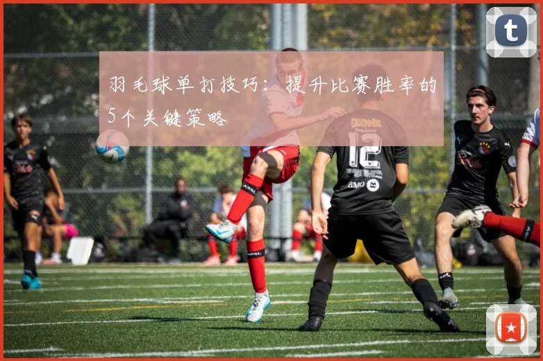 羽毛球单打技巧:提升比赛胜率的5个关键策略